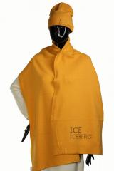 ���� ICE Iceberg